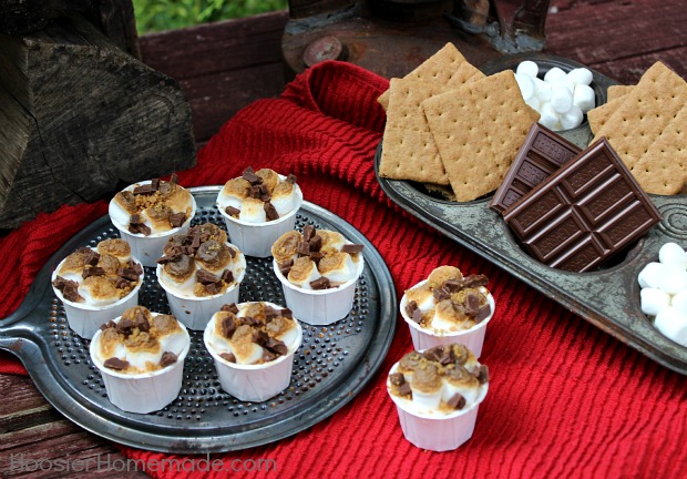 No Bake Mini S'Mores Cheesecake :: Recipe on HoosierHomemade.com