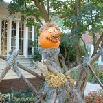 Scarecrow Pumpkin.1 Scarecrow Pumpkin.1