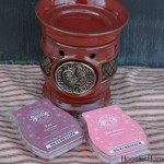 Scentsy.1