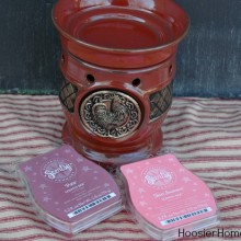 Scentsy.1