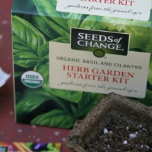 Seeds-of-Change.close