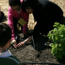 Seeds-of-Change.planting