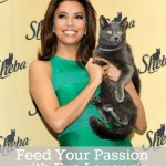 Feed Your Passion with Eva Longoria and Sheba