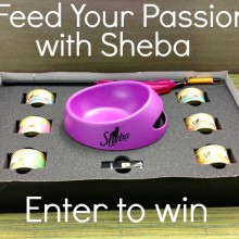 Feed Your Passion with Sheba Giveaway