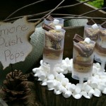 S'more-Push-Pops.1.HoosierHomemade.com