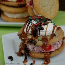 Easy Ice Cream Sandwiches :: HoosierHomemade.com