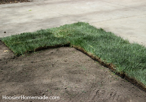 Tips for Homeowners when Installing Sod | Details on HoosierHomemade.com