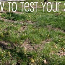 Soil-Testing.words