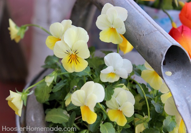 Spring Front Porch Decorating :: HoosierHomemade.com