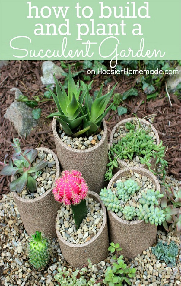 Succulents are all the rage now! They are SUPER easy to plant and take care of! Learn how to build and plant your own Succulent Garden with these step-by-step photos and instructions!