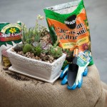 Succulent Gardens: DIH Workshop at The Home Depot