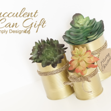 Succulent-Gift