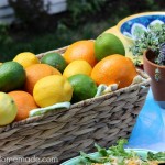 Easy Summer Entertaining on HoosierHomemade.com