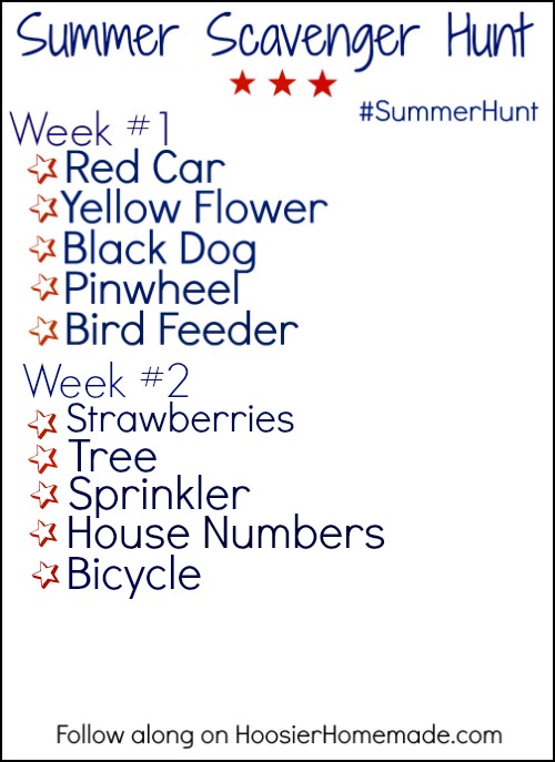 Summer Scavenger Hunt Printable.wk. 2