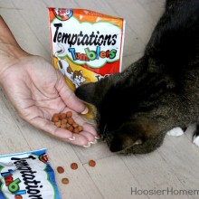 Temptations Treats