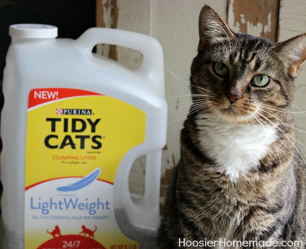 Homemade clumping cat clearance litter