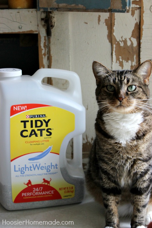 Tidy Cats LightWeight Litter
