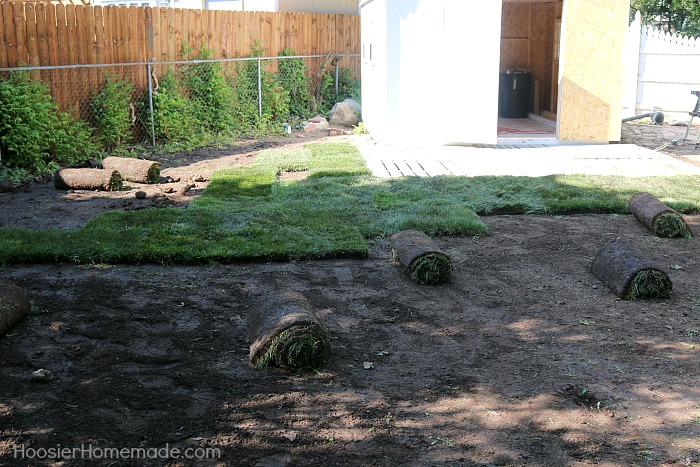 TIPS FOR LAYING SOD - Creating a gorgeous green lawn is easier than you think! Upgrade your lawn quickly and easily! Learn how to lay sod yourself! 