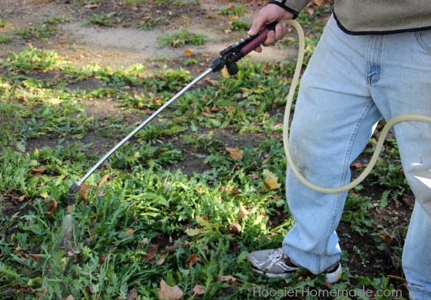 Spray your yard for weed control