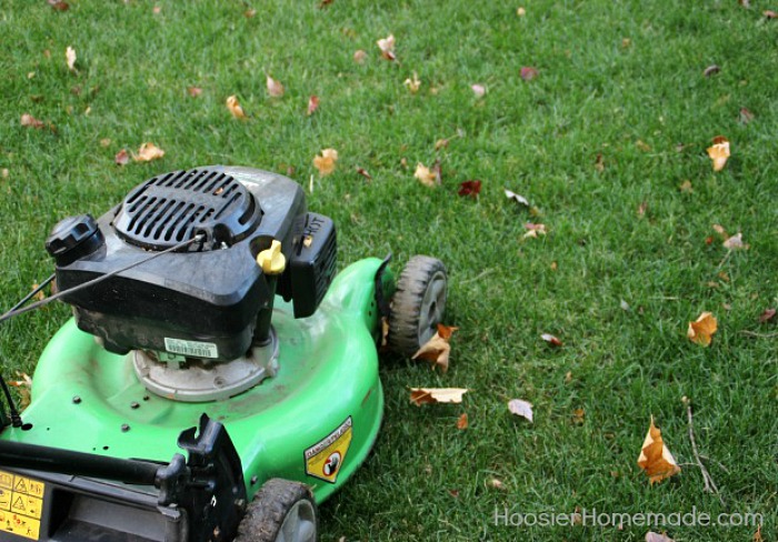 OCTOBER GARDEN CALENDAR -- Tips to Prepare your Lawn + Garden for Winter