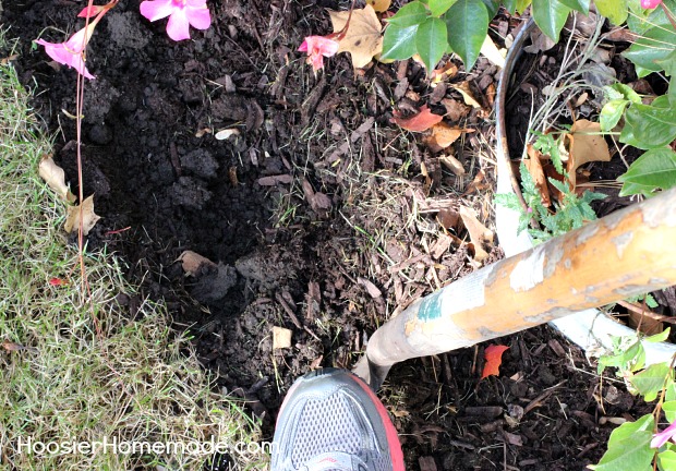 Planting Flowering Bulbs for Spring: Learn how on HoosierHomemade.com