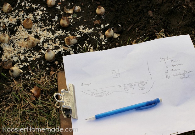 Planting Flowering Bulbs for Spring: Learn how on HoosierHomemade.com