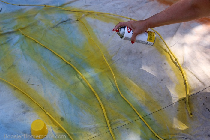 Painted Twigs