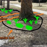 Weekend DIY Curb Appeal Project | Details on HoosierHomemade.com