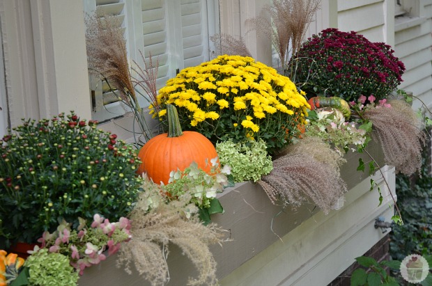 How to Decorate Fall Window Boxes :: HoosierHomemade.com