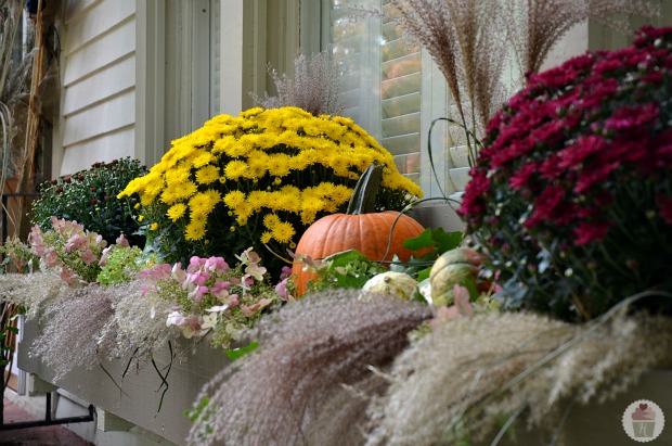 How to Decorate Fall Window Boxes :: HoosierHomemade.com