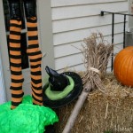 Witch-Broom.1