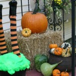 Witchy-Poo.featured Witchy-Poo.featured
