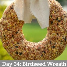 birdseed-wreath-day 34