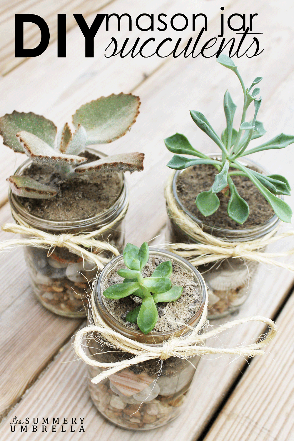 DIY Mason Jar Succulents