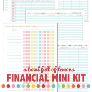 Organizing, Cleaning and Home Management Printables