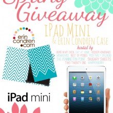 Mini iPad and Erin Condren Case Giveaway on HoosierHomemade.com