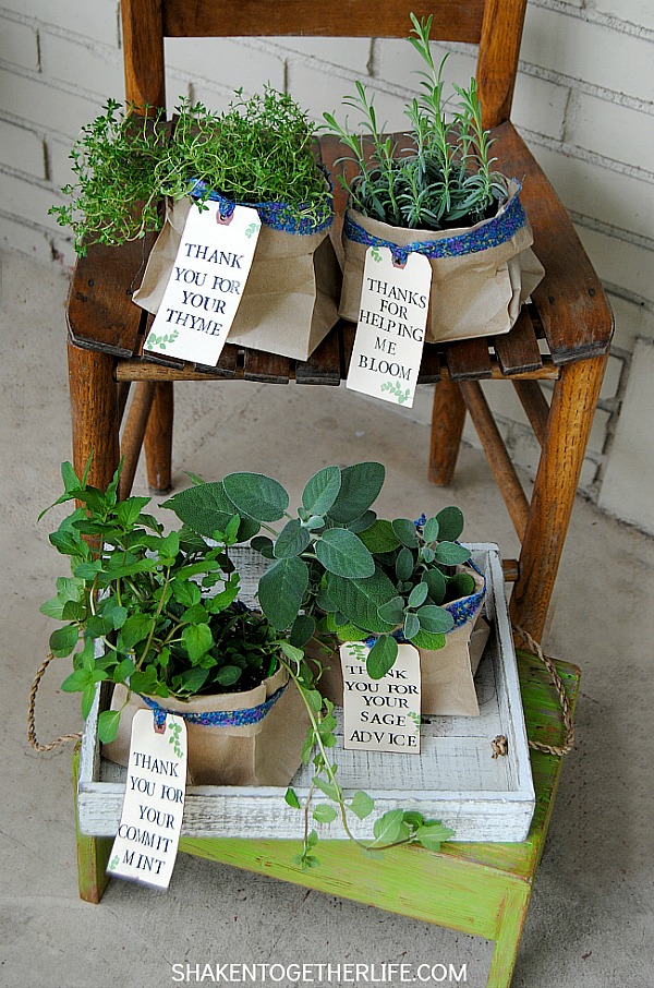 thank-you-herb-gifts-chair