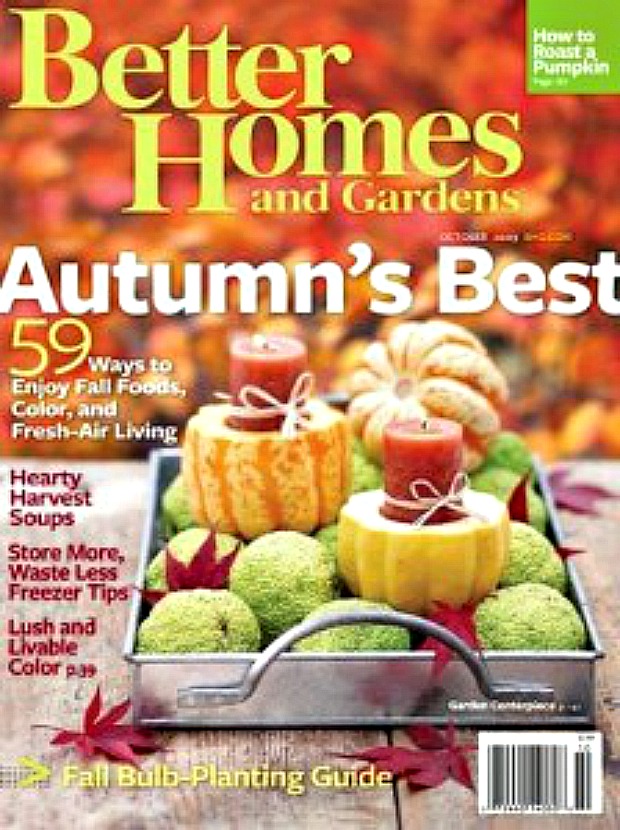 Labor Day Magazine Sale