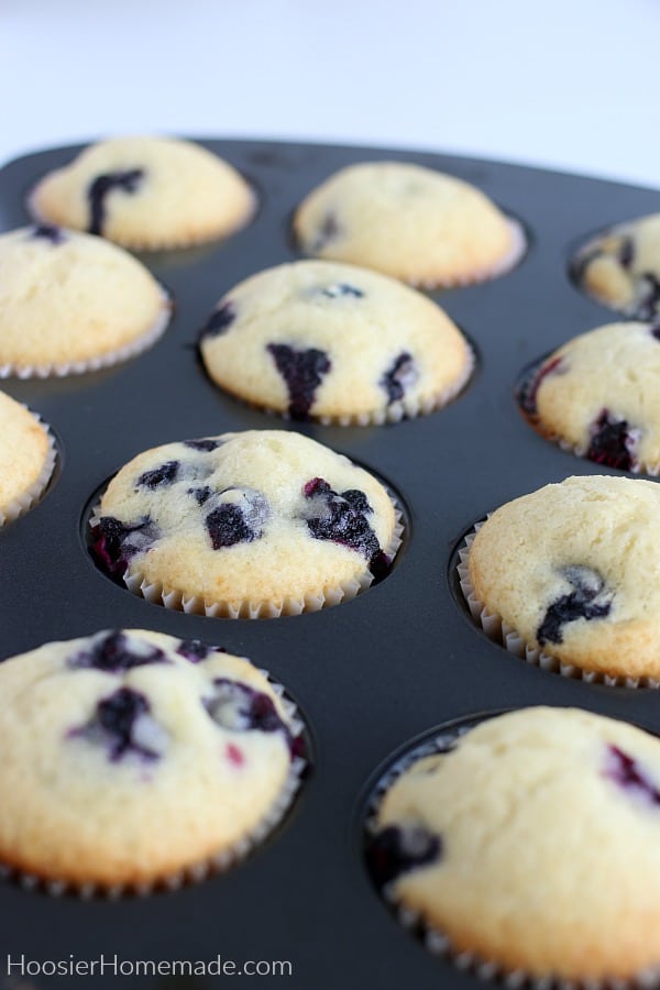 Blueberry Muffins baked in pan
