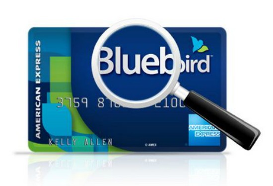 Bluebird: A New Financial Option