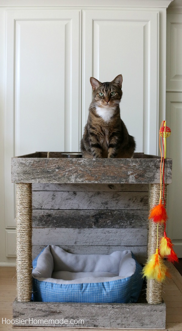 Cat Condo Made From A Wood Pallet, Pet Cat Bunk Bed Diy Pallet Ideas