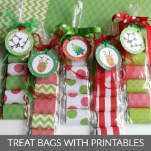 Christmas Treat Bags