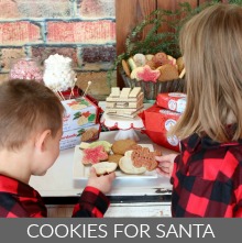 Cookies for Santa