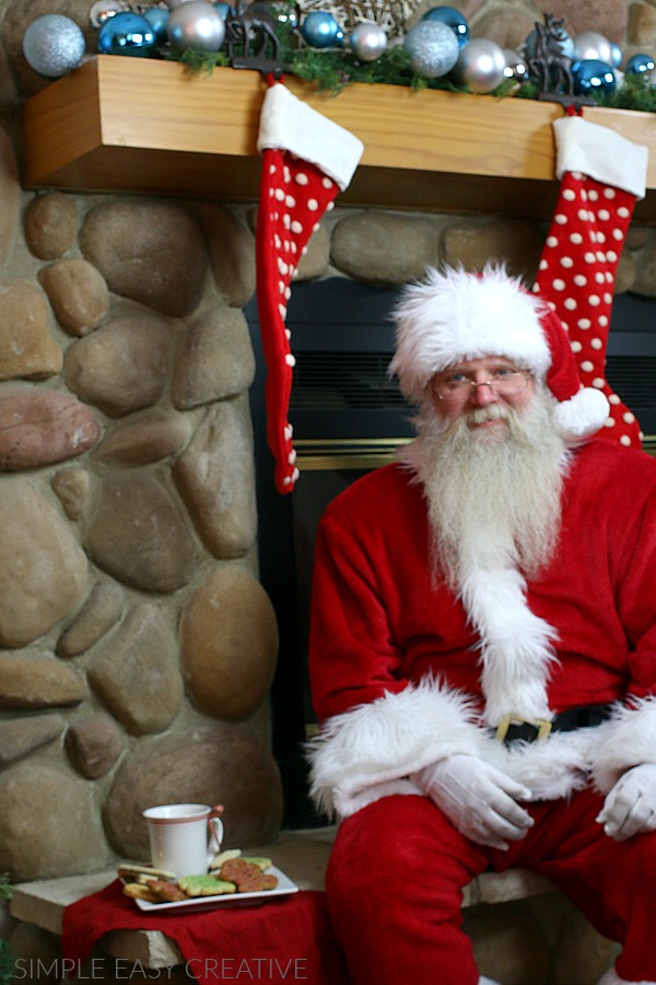 Cookies and Milk for Santa