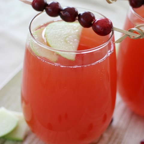 Cranberry Apple Spritzer