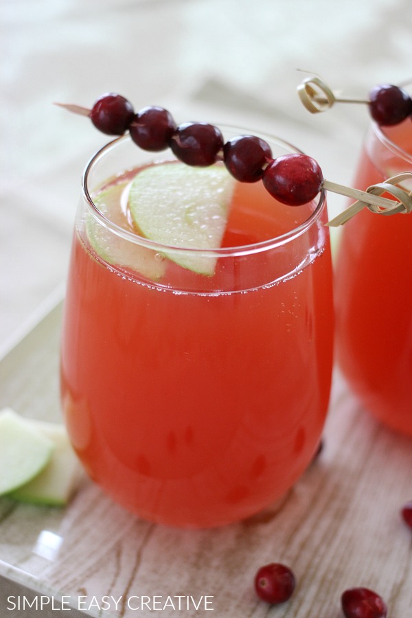 Cranberry Apple Spritzer