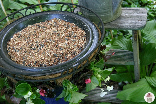 Repurposed Bird Feeder