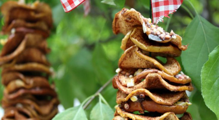 DIY Dried Apple Bird Feeder