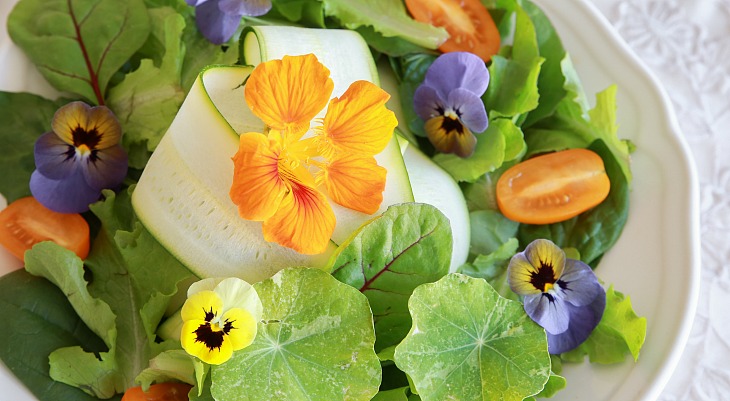 Edible Flower List