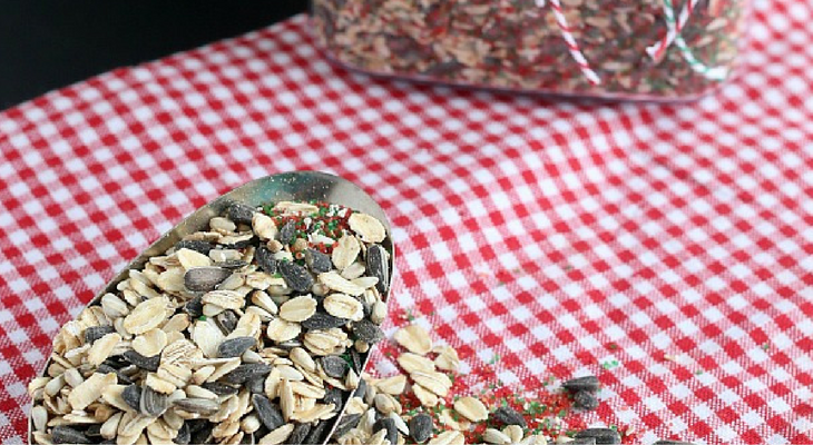 Magical Reindeer Food – 100 Days of Homemade Holiday Inspiration